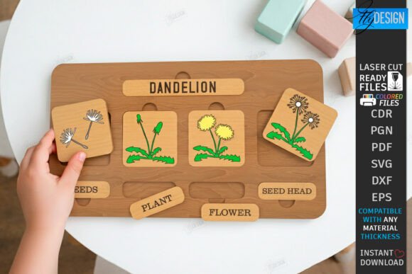 Download Life Cycle Puzzle Laser Cut | Montessori - Premium Resources