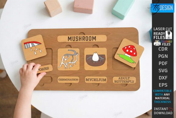 Download Life Cycle Puzzle Laser Cut | Montessori - Premium Resources