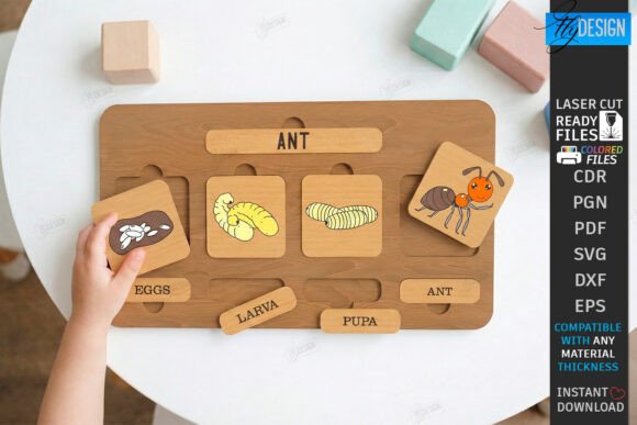 Download Life Cycle Puzzle Laser Cut | Montessori - Premium Bundle